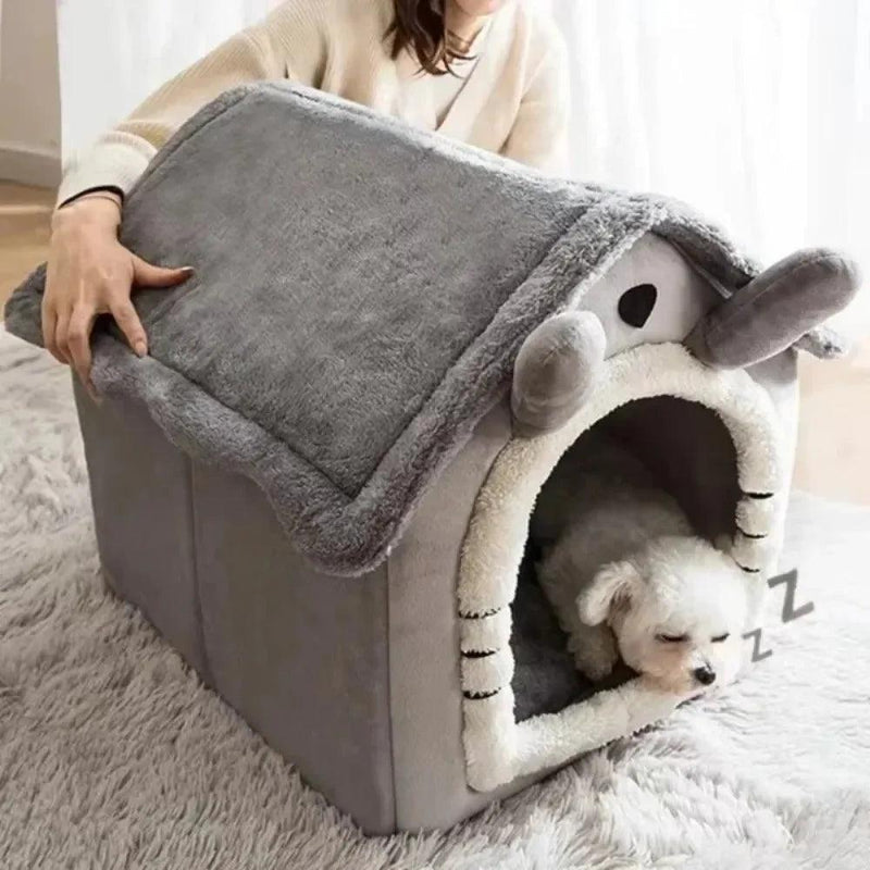 Casa Para Cães & Gatos